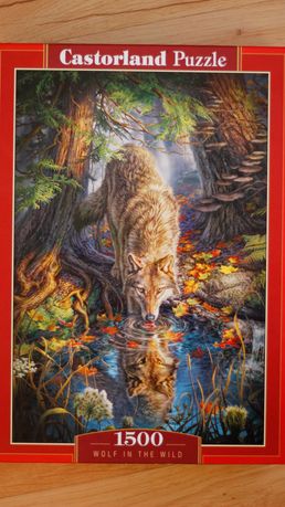 Puzzle Castorland 1500 Wilk (Wolf in the wild)