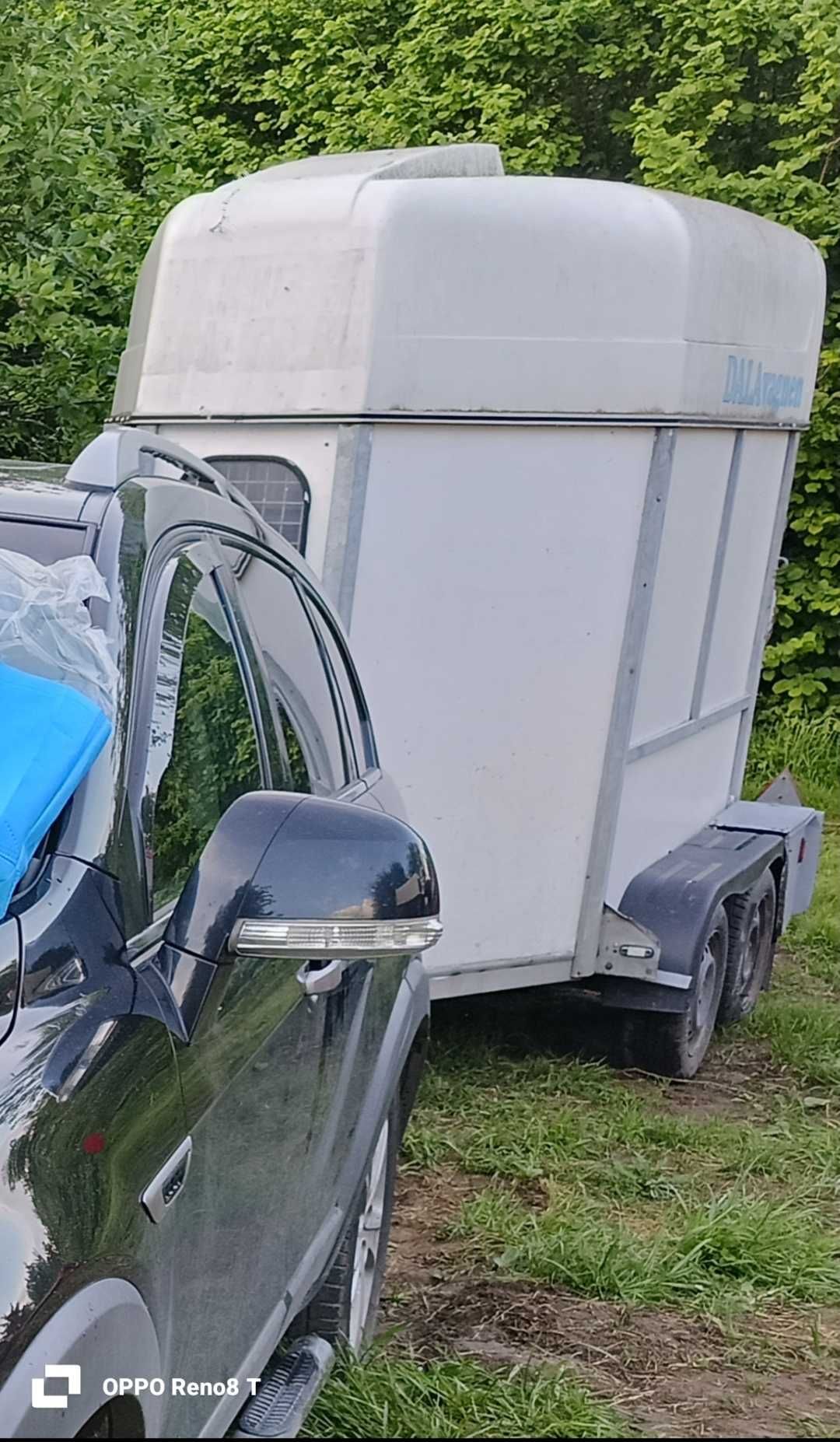 Przyczepa do przewozu  koni