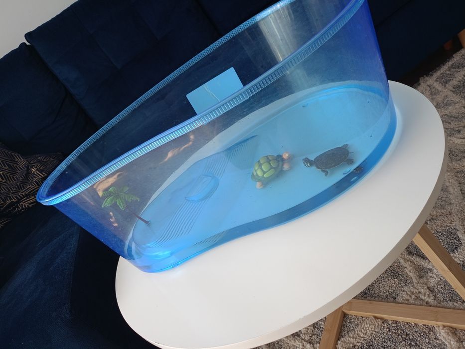 Terrarium dla żółwi