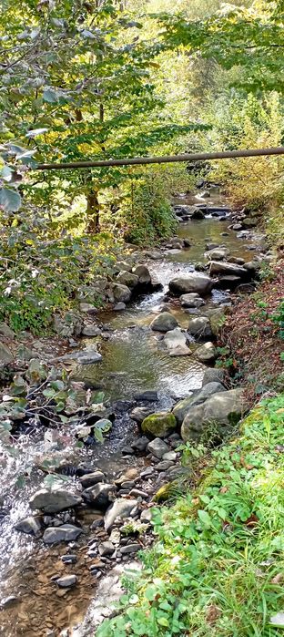 Чудова ділянка у чудовому місці на курорті Поляна Закарпатська область