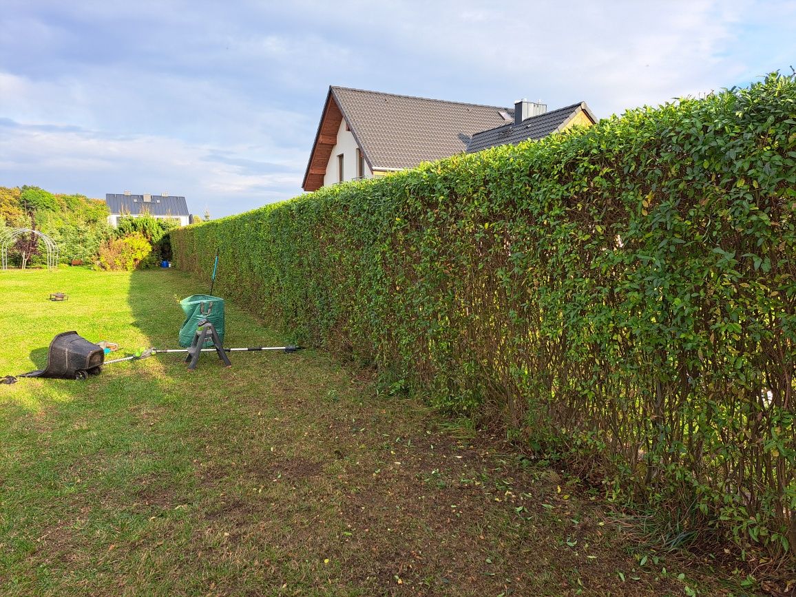Koszenie trawy, trawników, prace ogrodowe / Faktura Vat