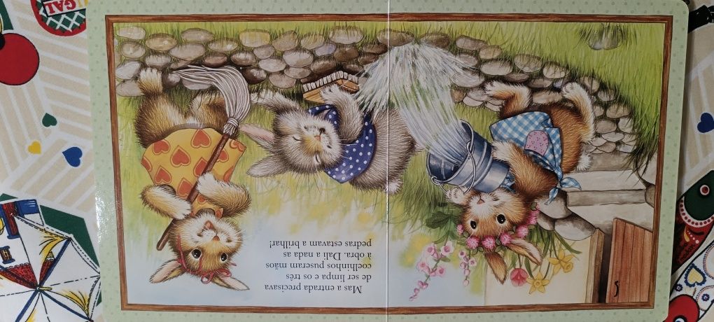 Livro Um dia atarefado