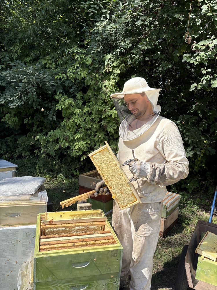 Продам свіжий МЕД, (мед, мід, мёд, медовуха, вощина)