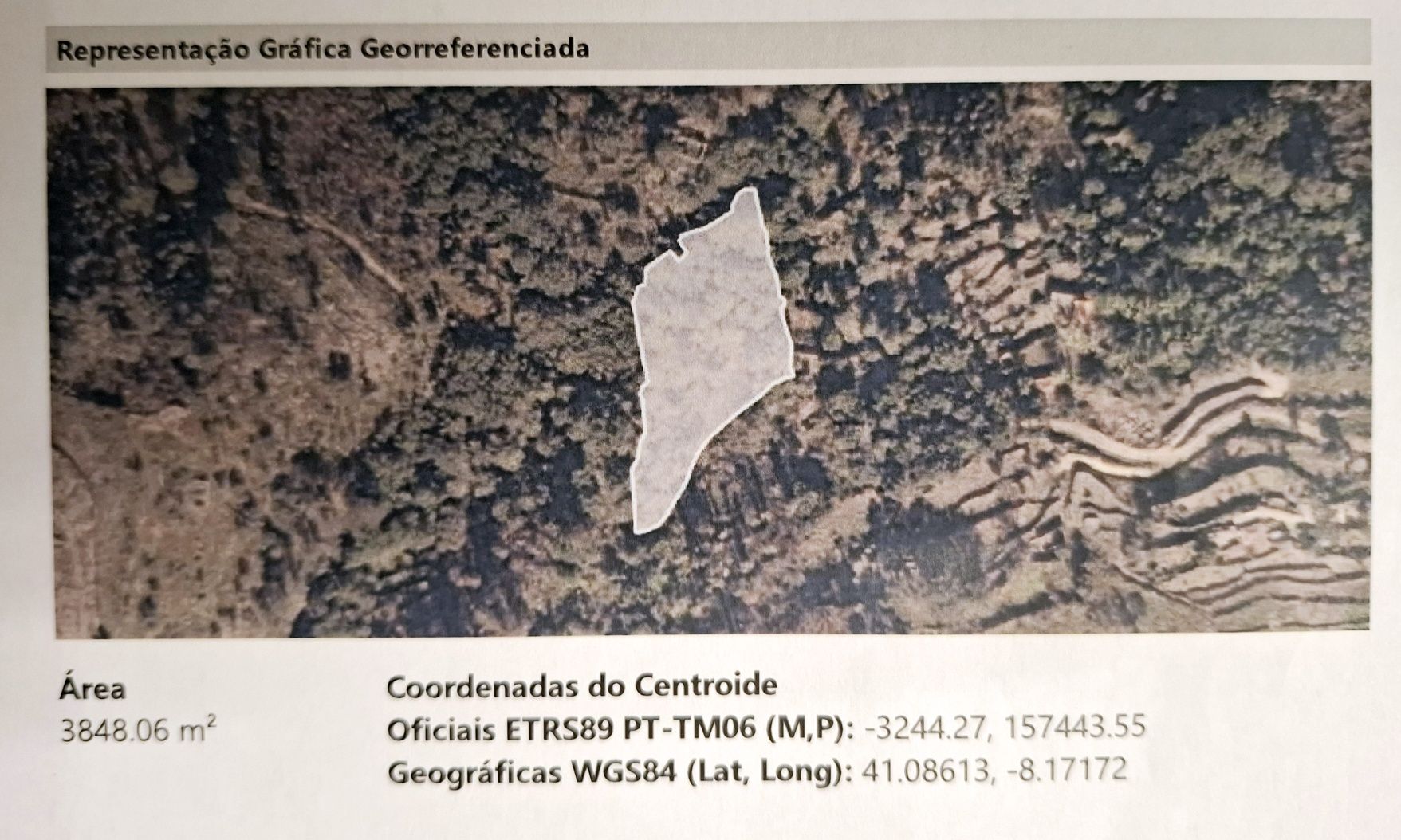 Ruína de moinho, ribeiros, nascente e vista Douro - 3.860m² em Cinfães