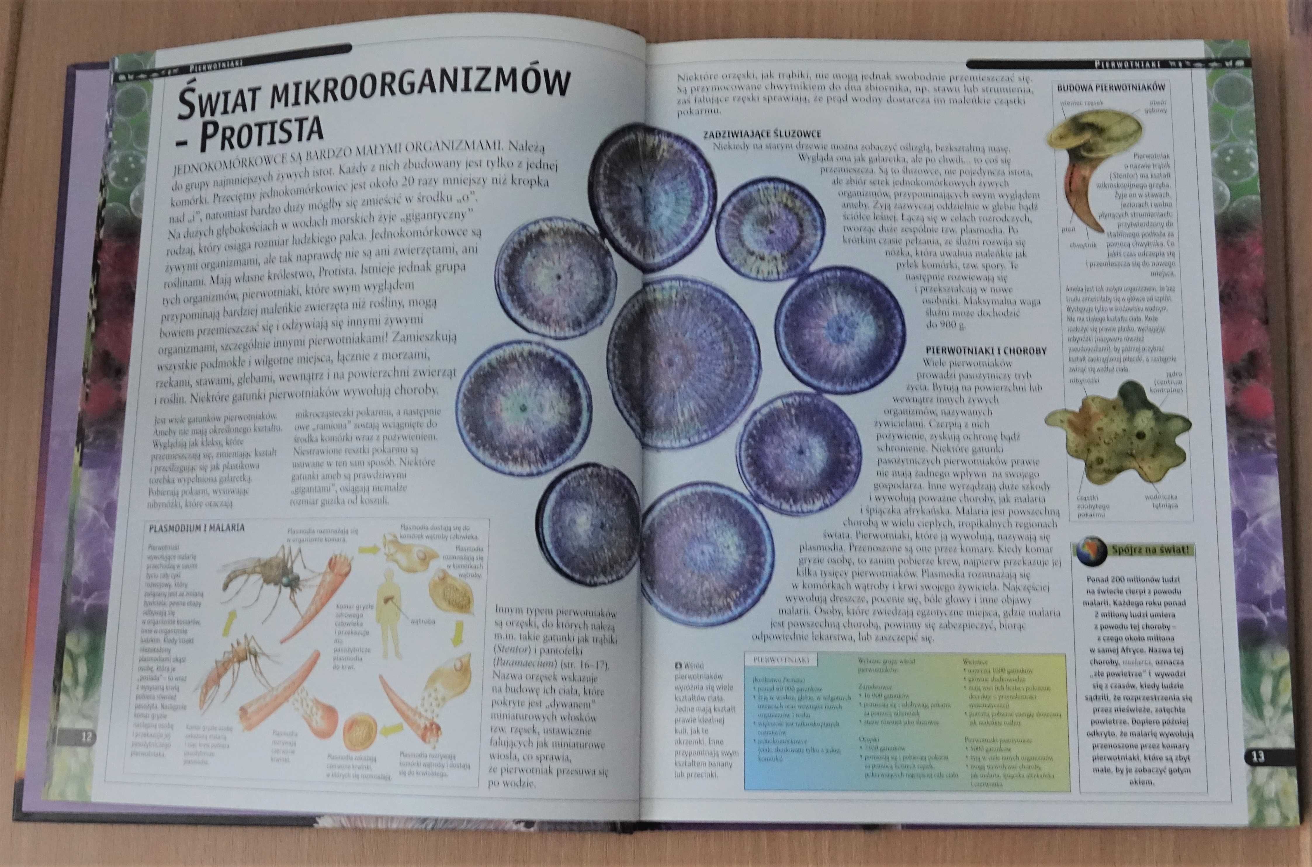 Encyklopedia zwierząt - Martin Walters & Jinny Johnson