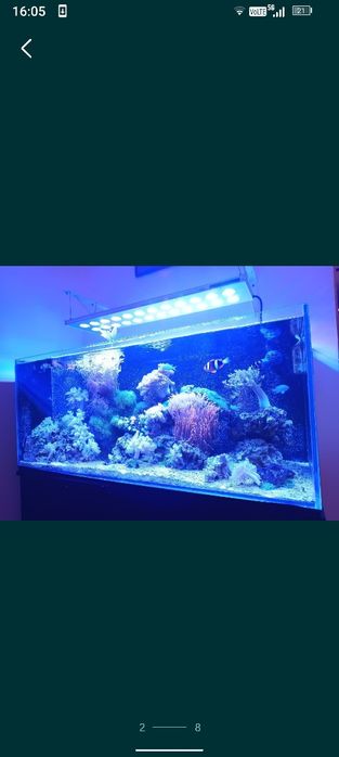 Aquarium Systems Series 6 lampa akwarium morskie led 86cm 264W reef