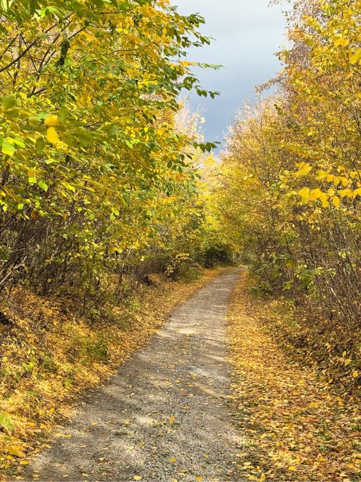 Оренда будинка подобово, будинок київська обл, аренда дома посуточно