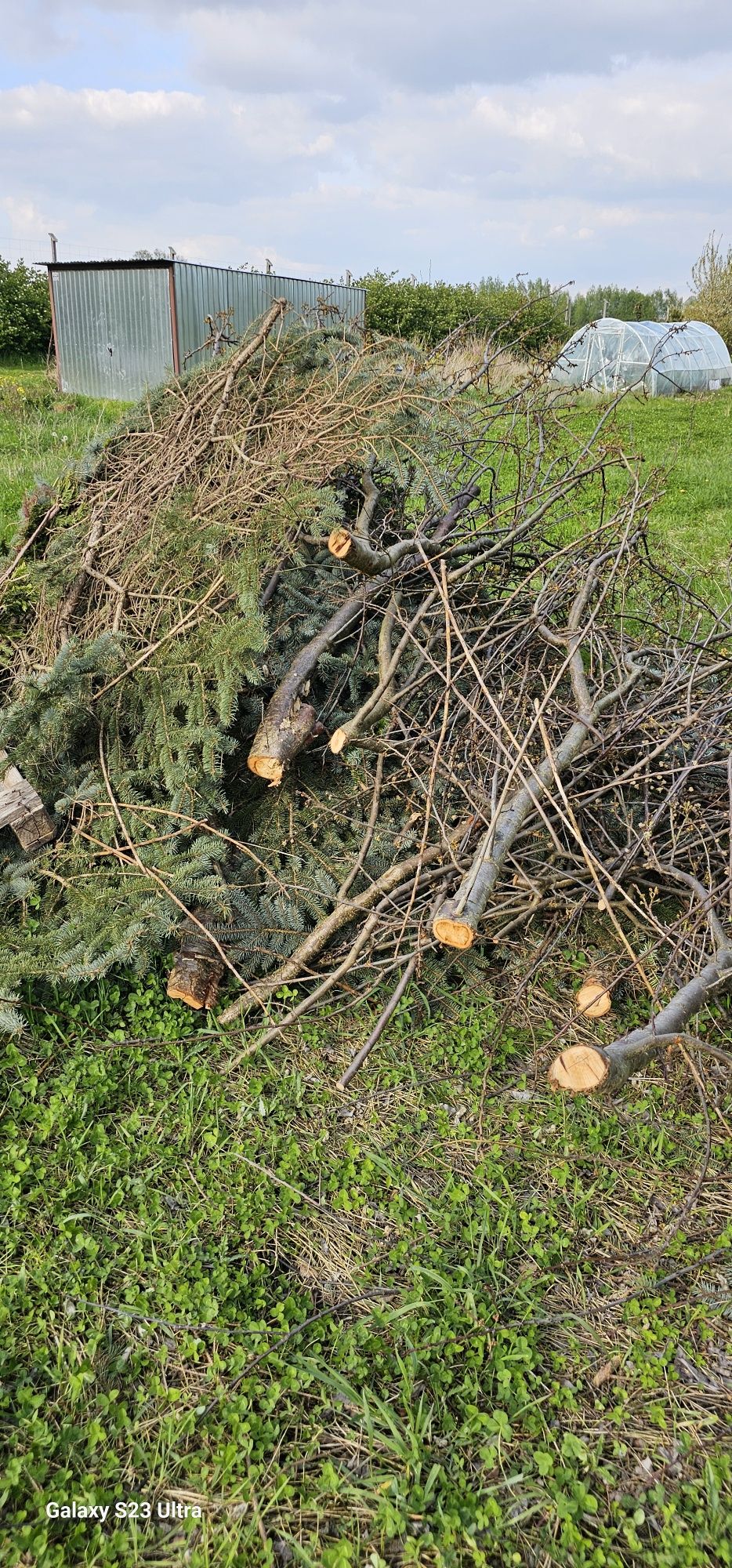 Gałęzie oddam drewno