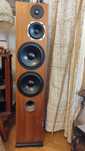 Harpia Acoustics Amstaff