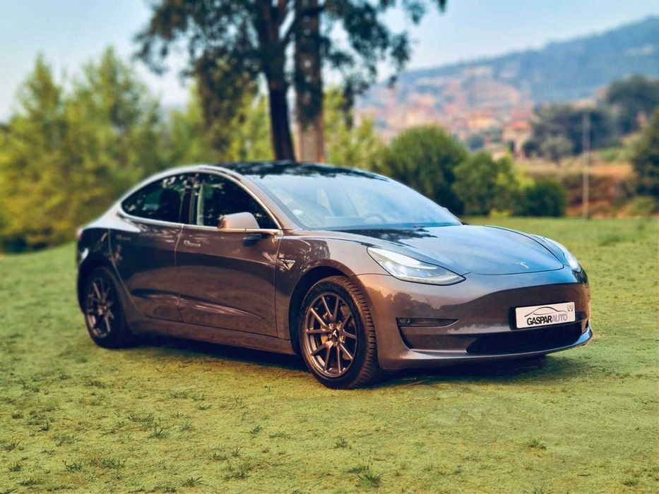 Tesla Model 3 Long-Range Dual Motor