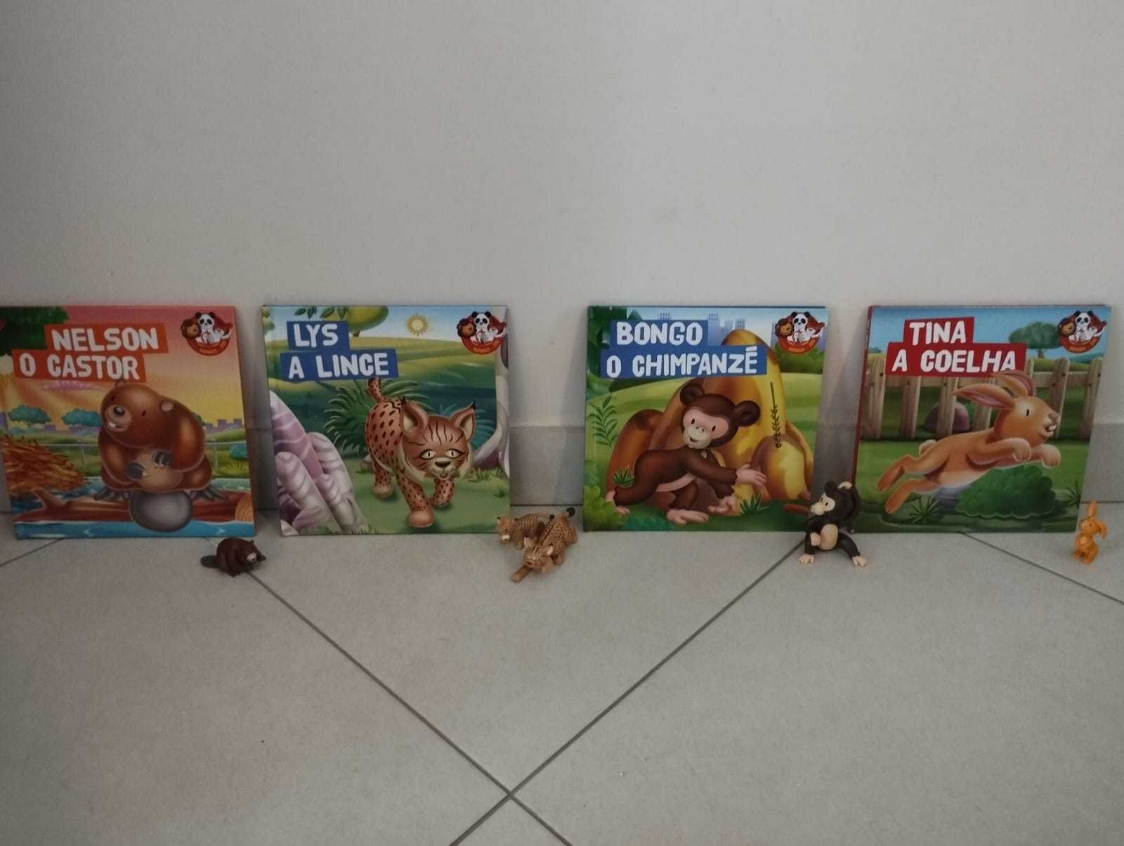 Livros sobre animais e os animais em brinquedo