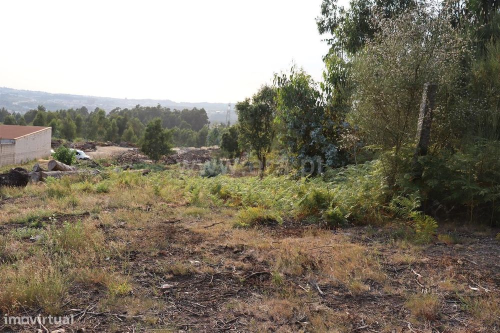 Terreno de Construção em Vilela, Paredes