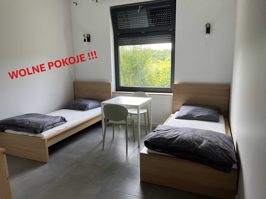 Wynajem pokoi dla firm/osób prywatnych - blisko OLEFIN III