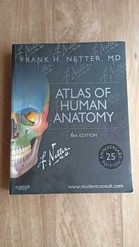 Atlas of Human Anatomy 6th Edition - Frank H. Netter, MD