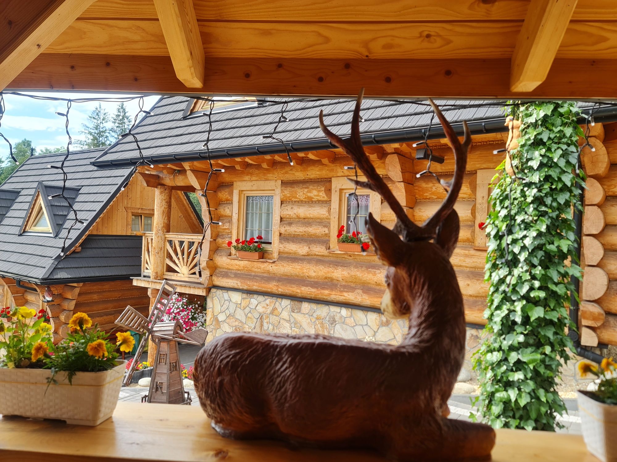 Domki z kominkiem i widokiem na góry Pokoje Noclegi w górach Sauna Spa