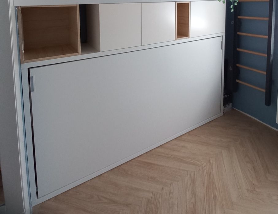 Półkotapczan z Ledami