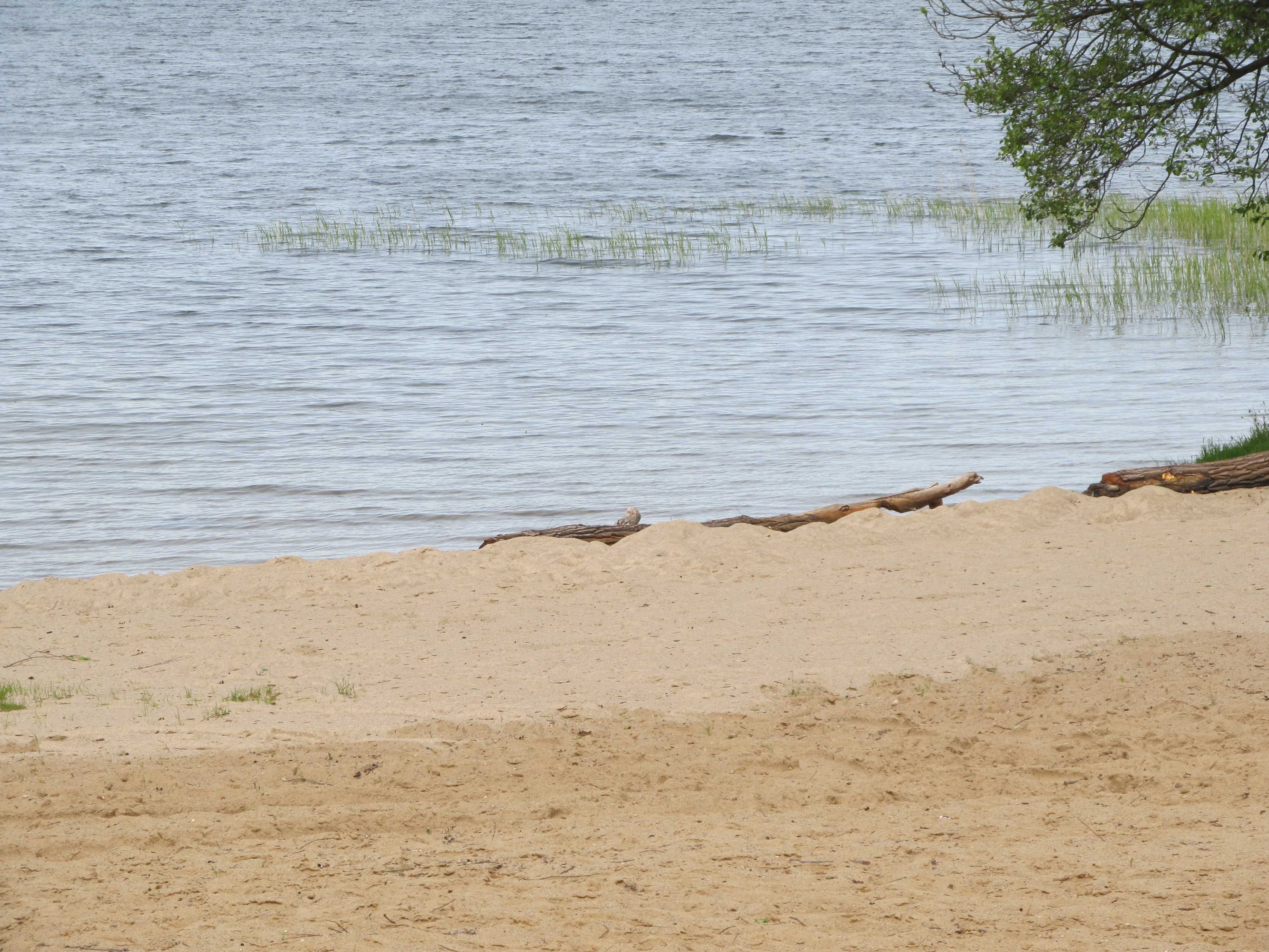 Mazury, Ośrodek Wypoczynkowy , Mrągowo, domki letniskowe, pensjonat