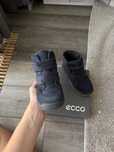 Взуття демісезон Ecco 25