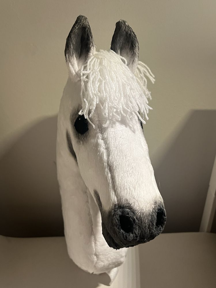 Hobby horse.