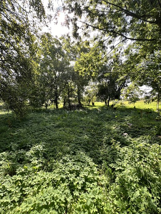 Продаж будинку біля Львова