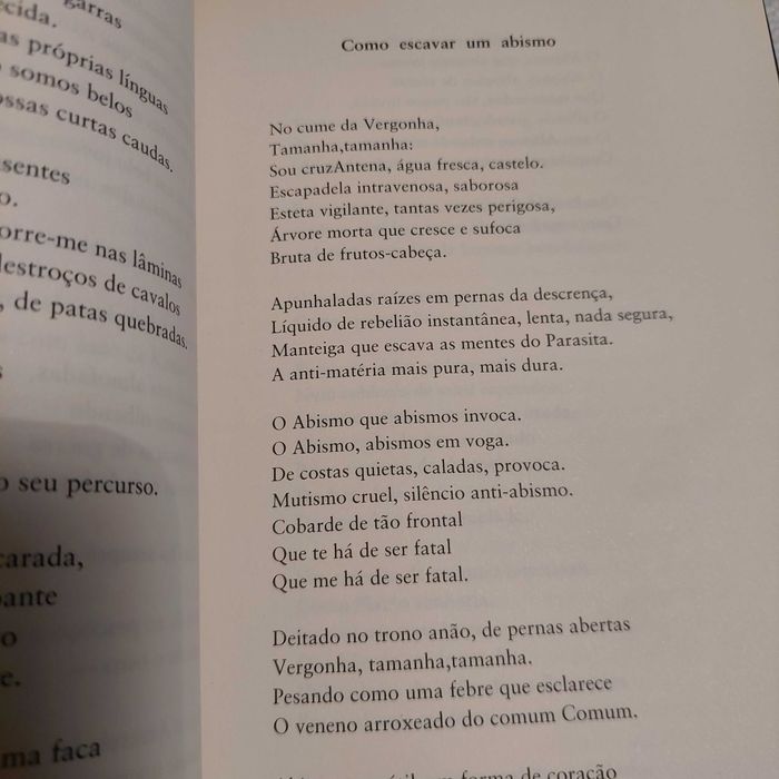 Como escavar um abismo, de fernanfo Ribeiro (vocalista dos Moonspell)