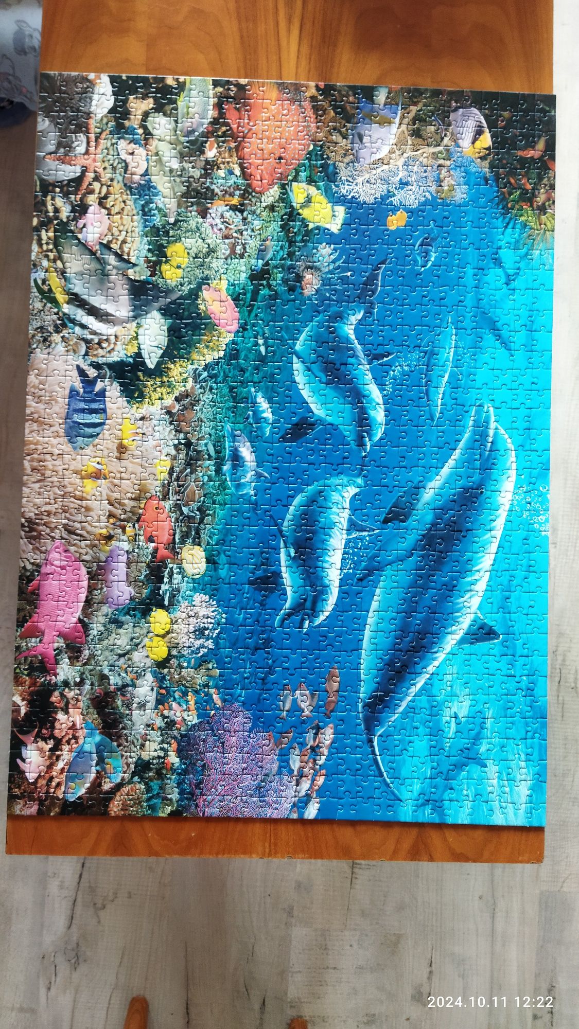Puzzle Dolphin's World 1000