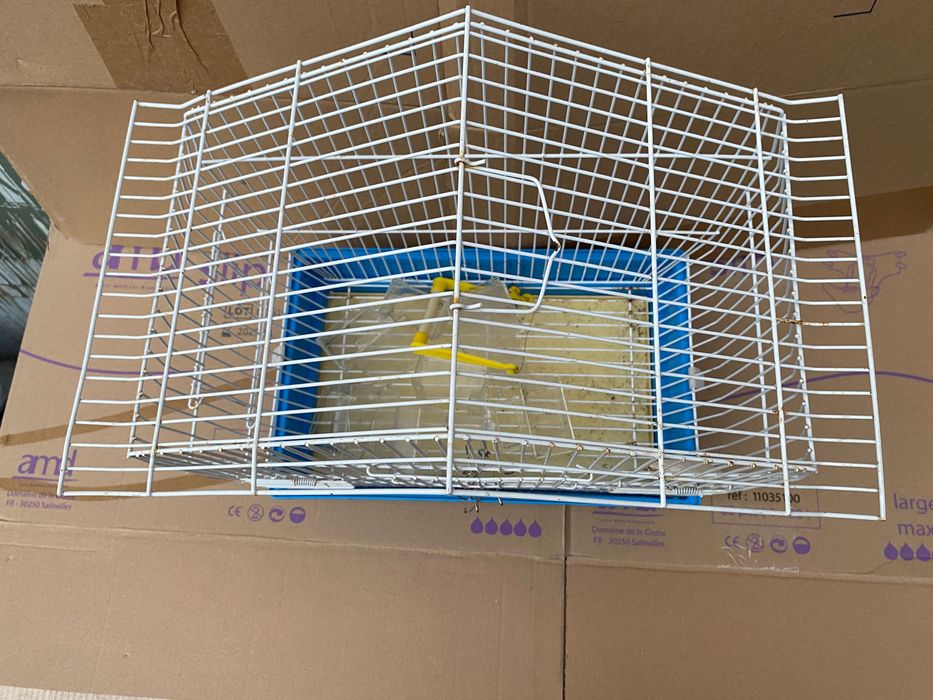 Gaiola pássaros com bebedouros e comedores