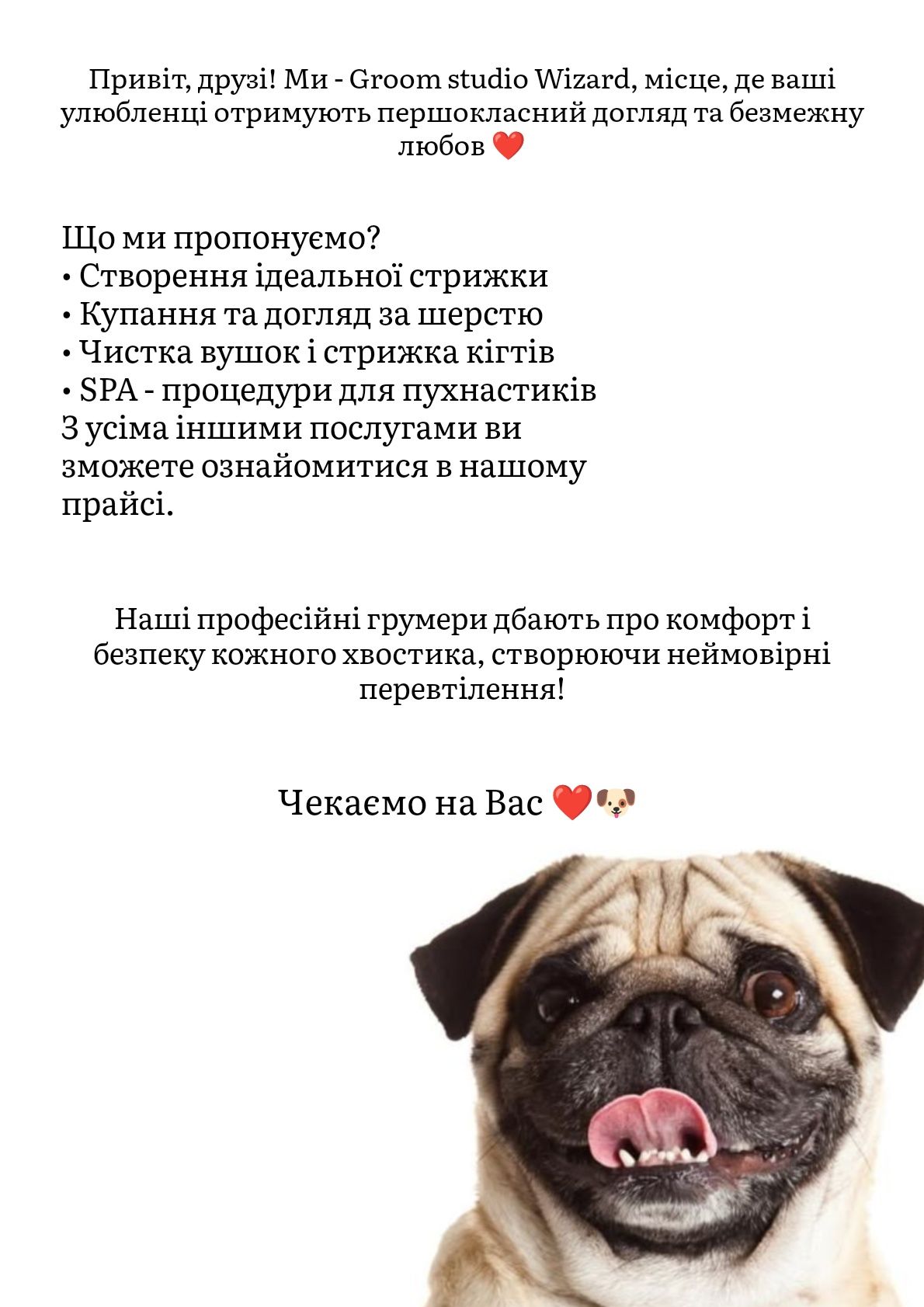 Грумінг Харків Салтовка для ваших улюбленці