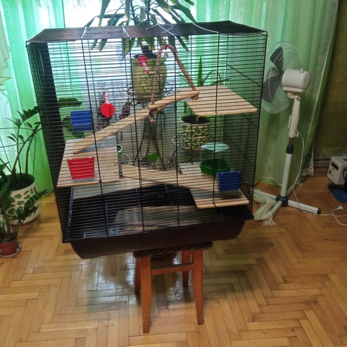 Клітка для папугая