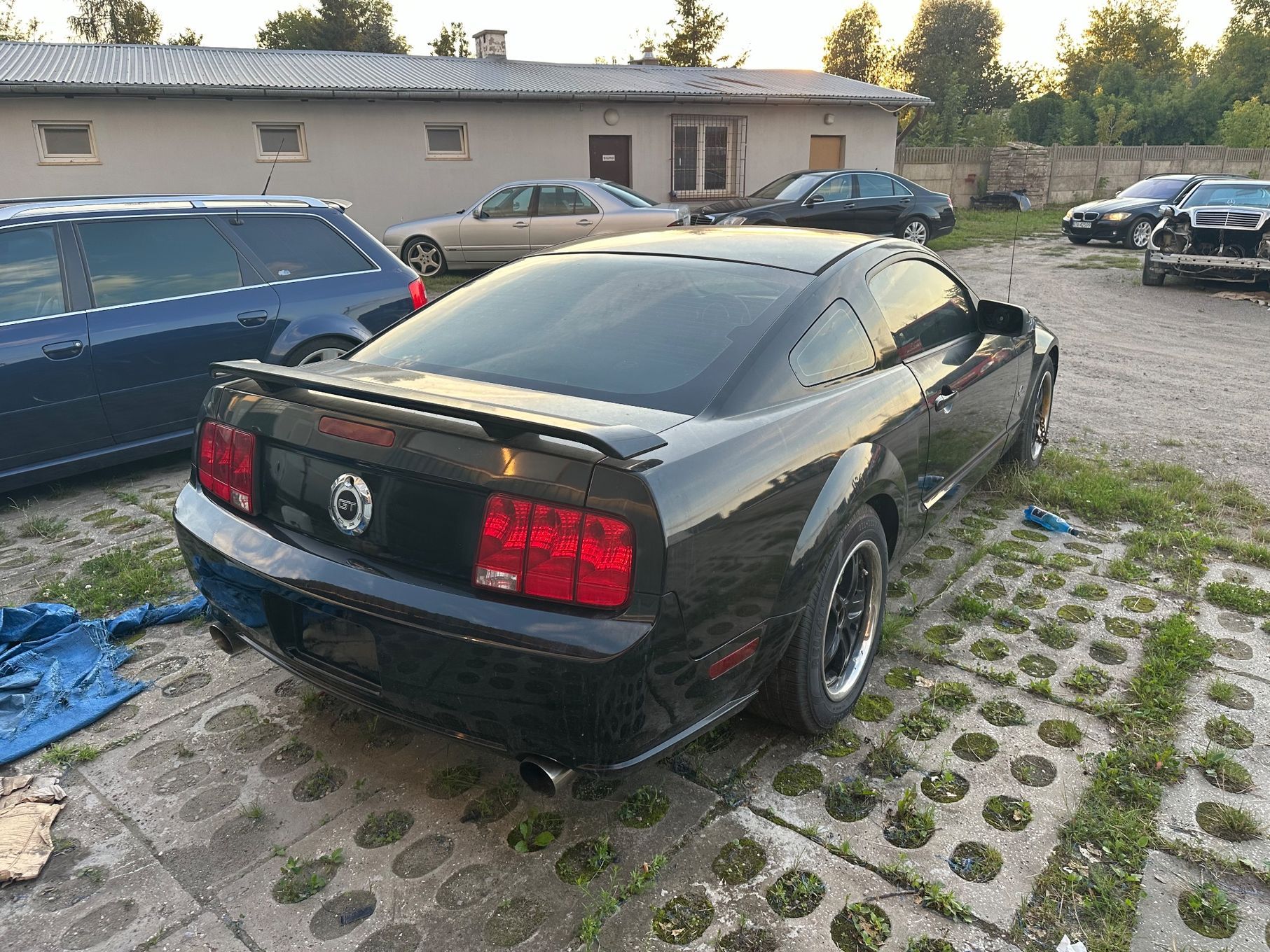 Ford Mustang Manual