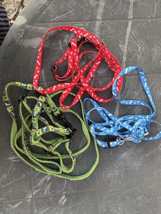 Trela para cães de tamanho pequeno