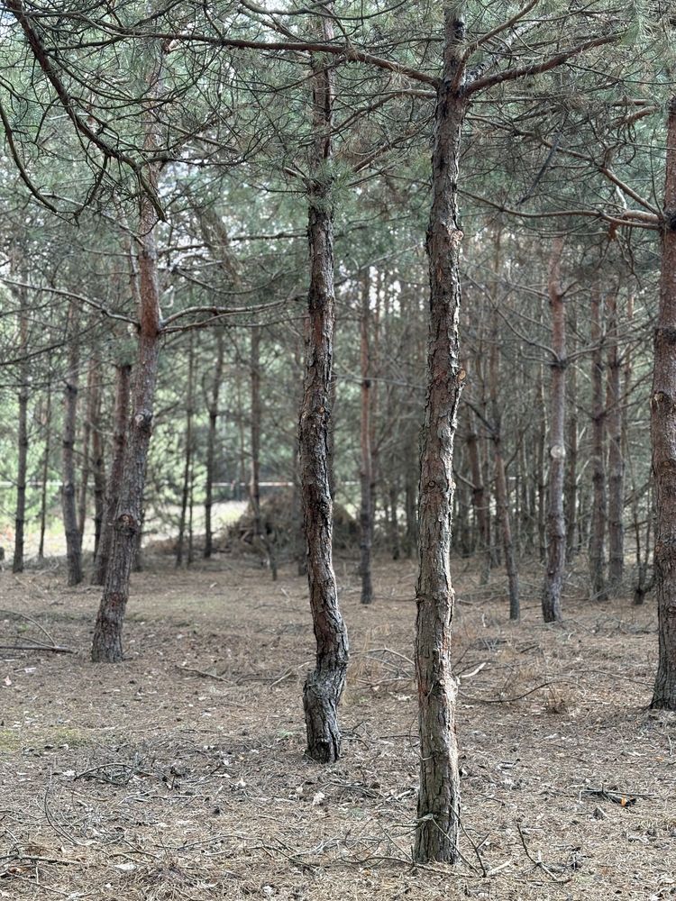 Земельна ділянка 15 соток, у мальовничому місті