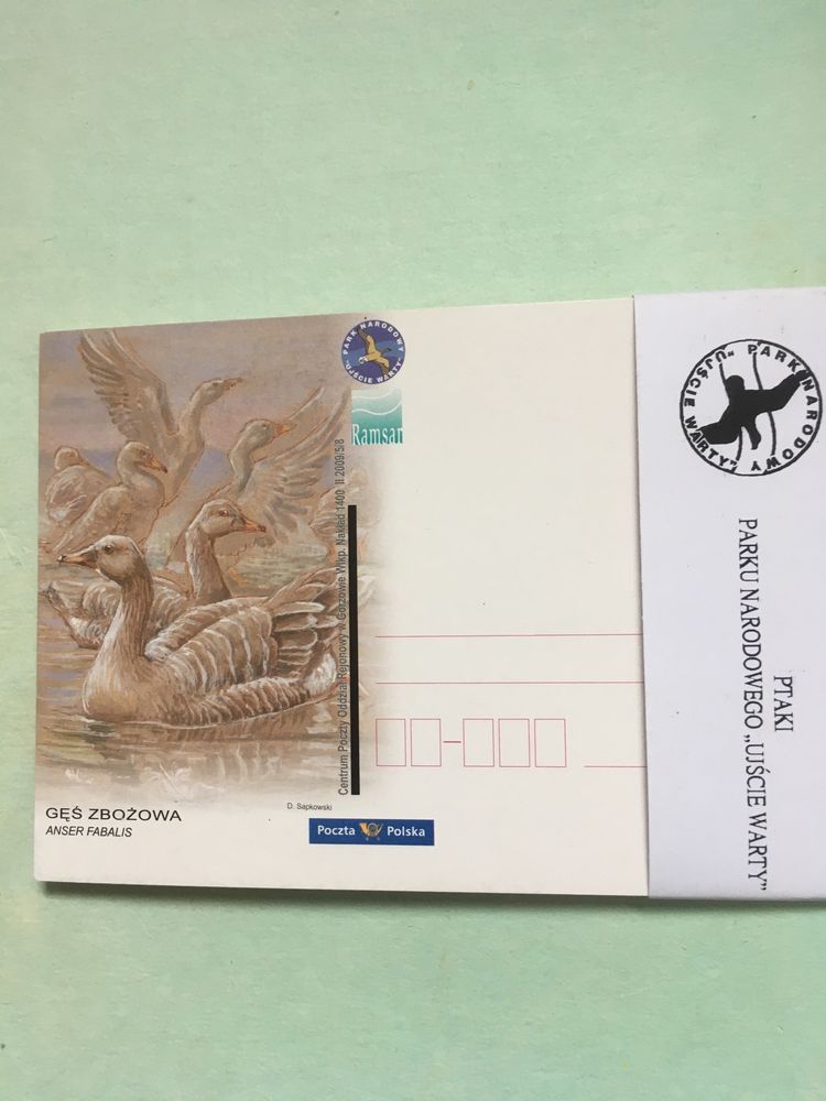 Karty pocztowe: Ptaki PN „Ujście Warty”.
