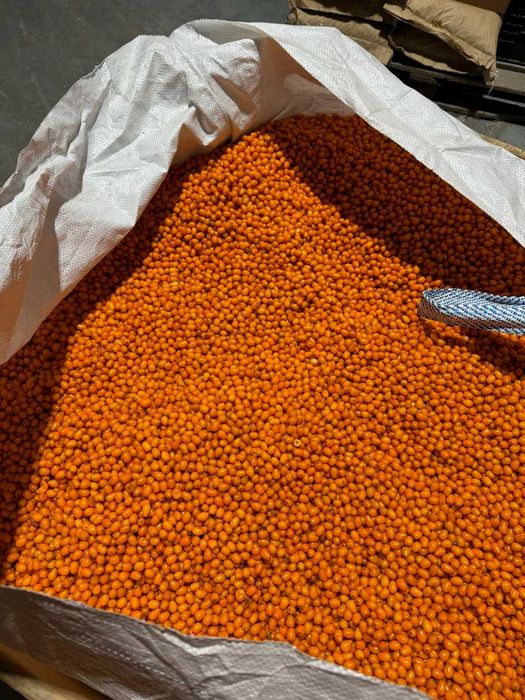 Свіжоморожена сортова обліпиха