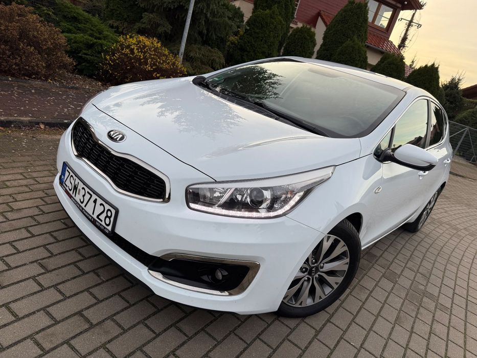 Kia Ceed BUSINESS LINE Ledy Alu Kamera Grzane Siedzenia Doinwestowany FULL