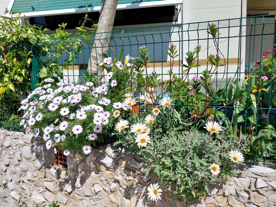 Residencial no Parque Verde