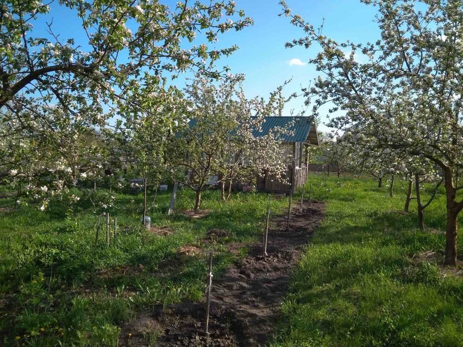 Продаж  будинку, для великої родини, в екологічно чистому с. Тубільці