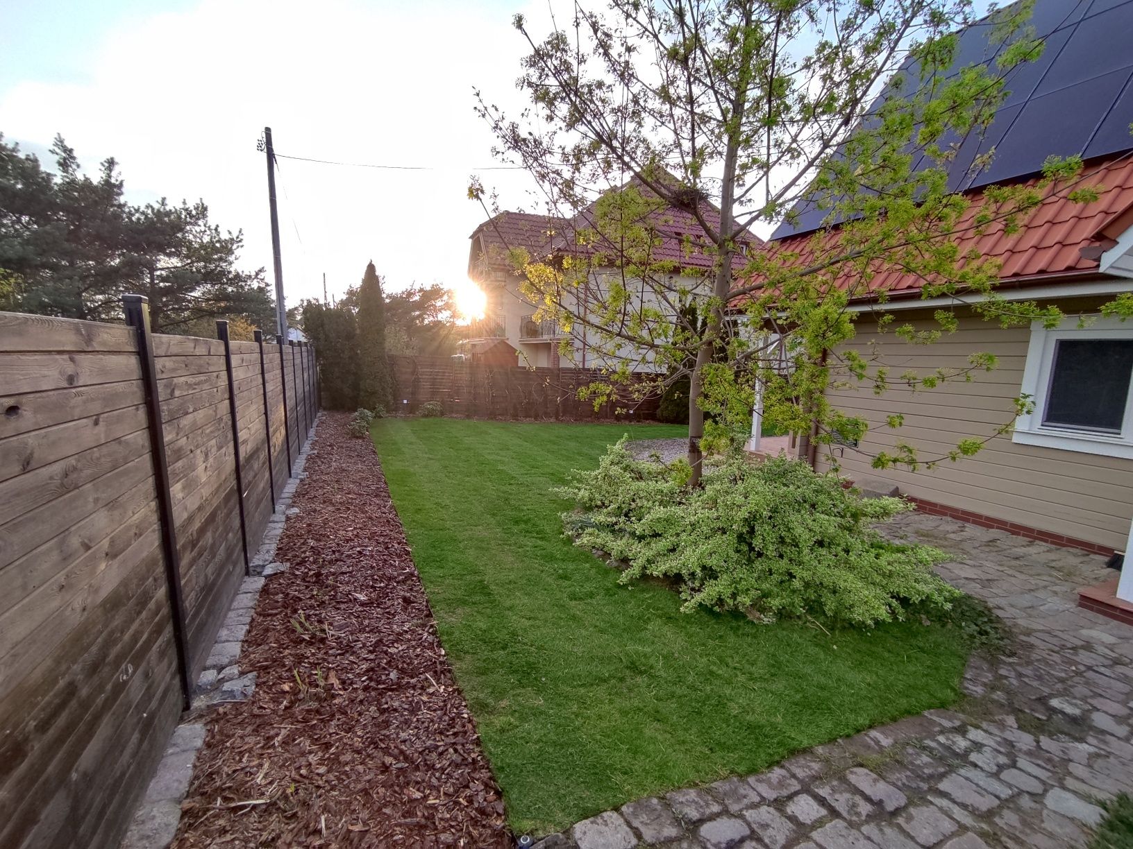 Trawa z rolki 40m2 z dostawą