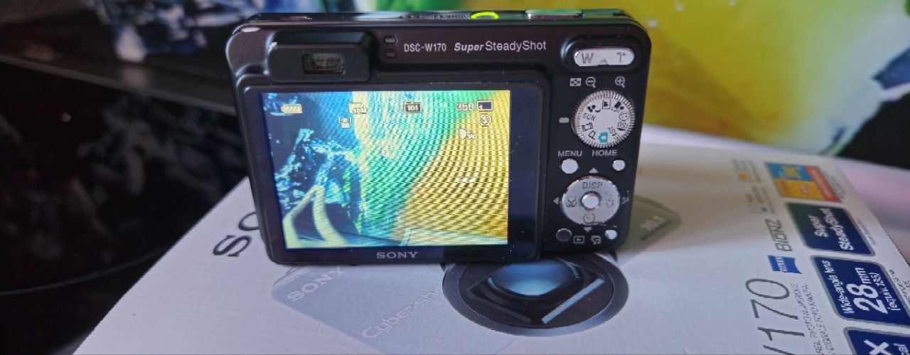 Цифровой фотоаппарат Sony DSC-W170
Sony DSC-W170