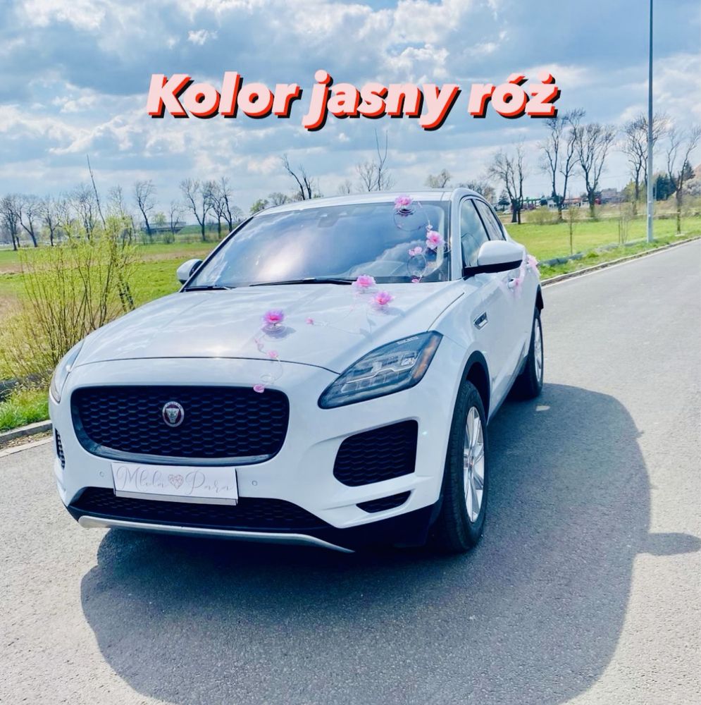 Auto Samochód do Ślubu JAGUAR E-PACE. Wolne terminy na rok 2024!