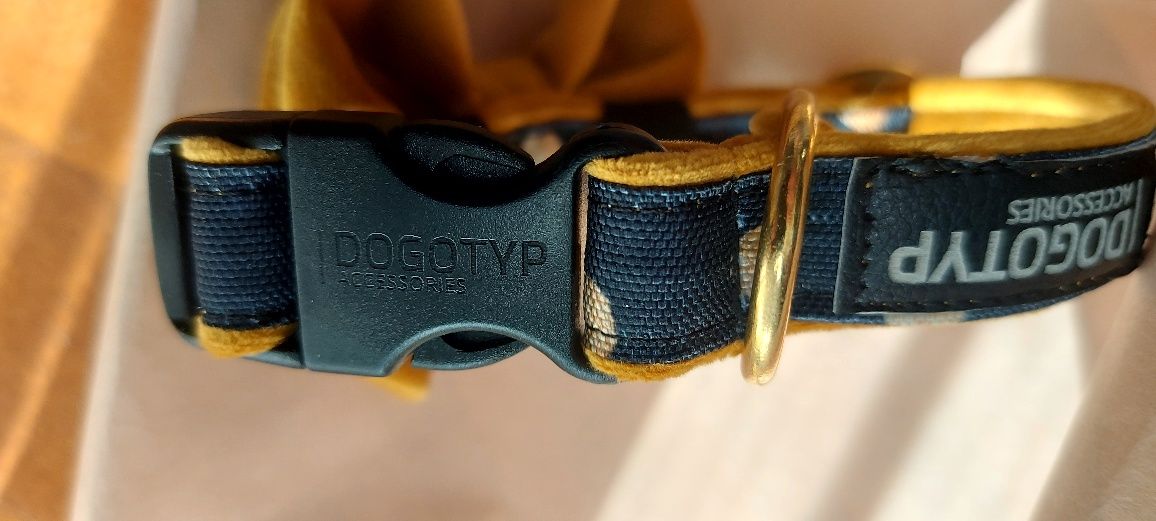 Nowa karmelowa  obroża w groszki  z kokardką DogoTyp  S 26-40 cm