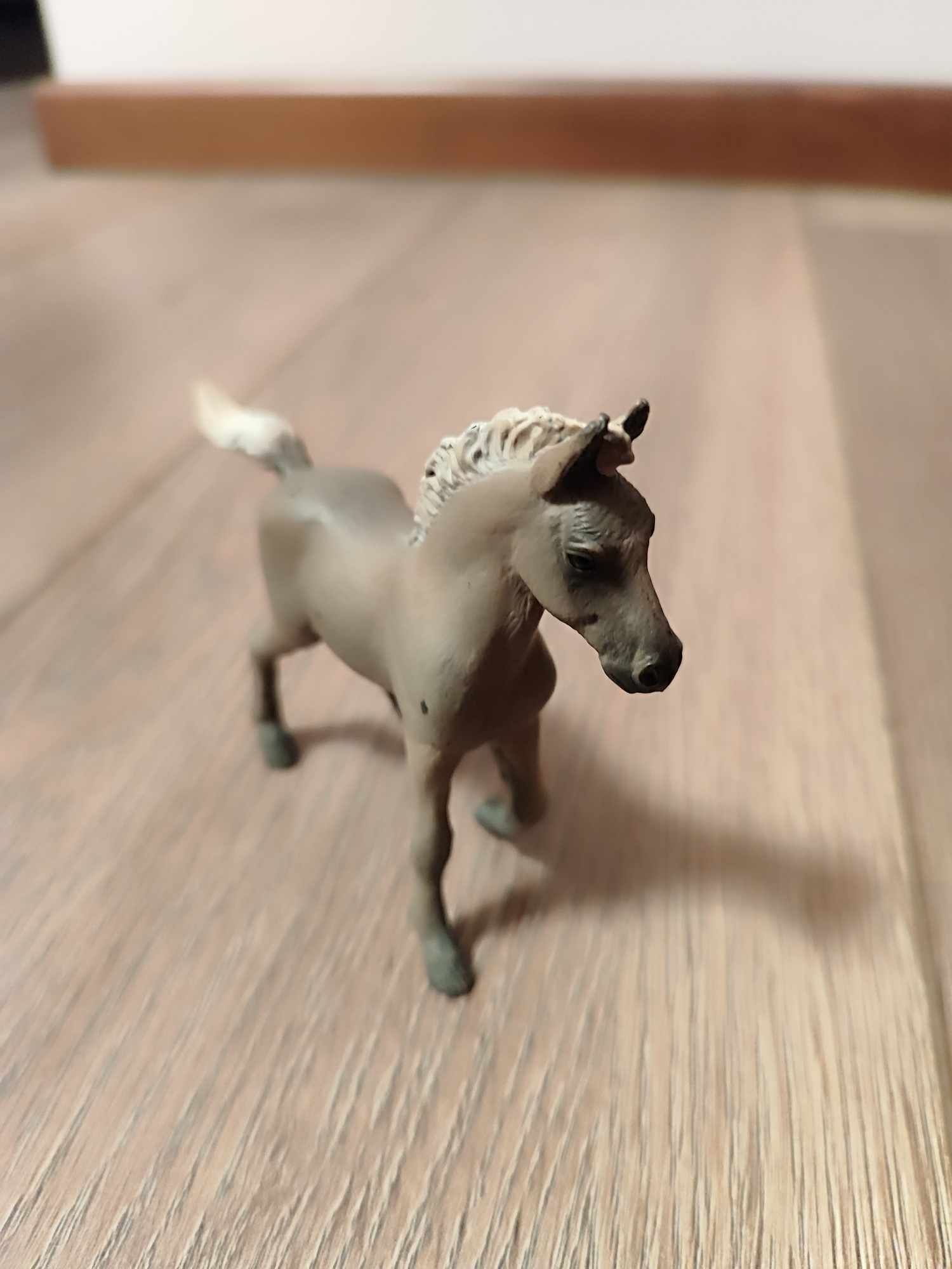 Schleich konik źrebak