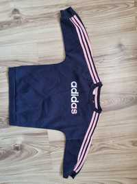 Bluza Adidas 9-12m 80cm