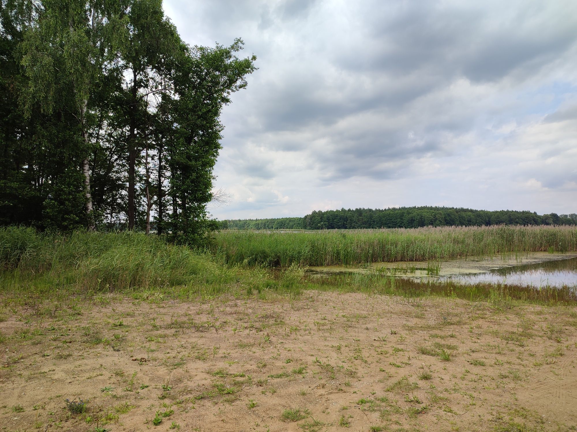 Działka nad jeziorem Krzywe Oleckie w miejscowości Sajzy.