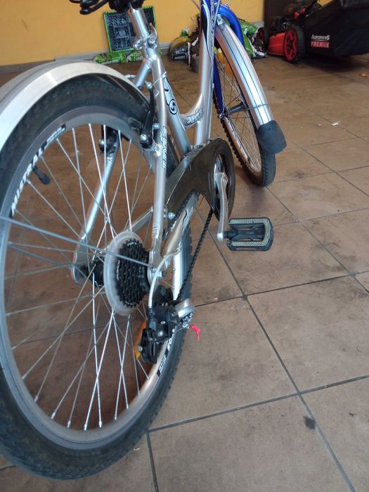 Rower sektor classic 24