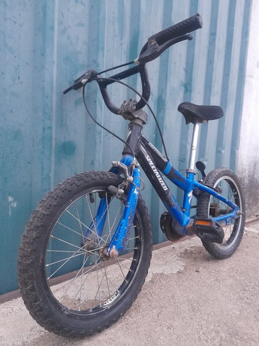Specialized roda 16