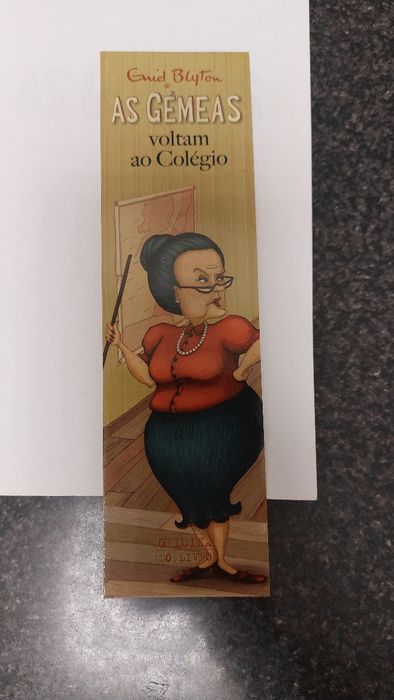 Livro as Gémeas novo