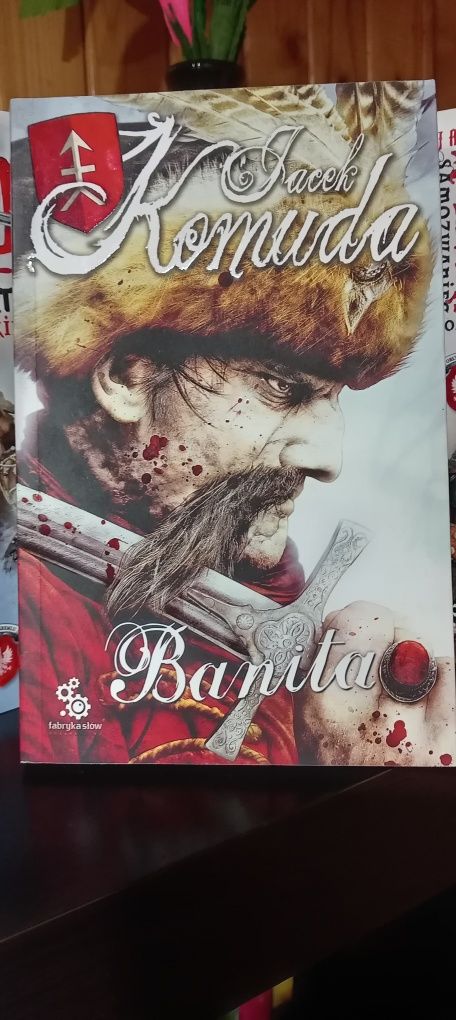 Sprzedam książki o tematyce historia, biografia, fakty, wspomnienia.