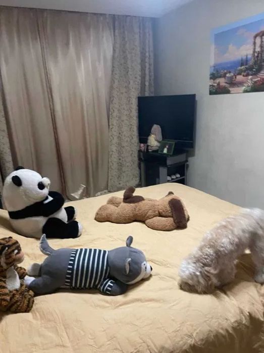 Продам 3 комнатную квартиру пр-т Гагарина, метро Спортивная S=65м2 VW