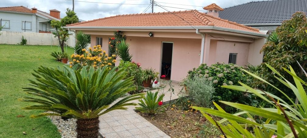 Aportunidade de investimento,